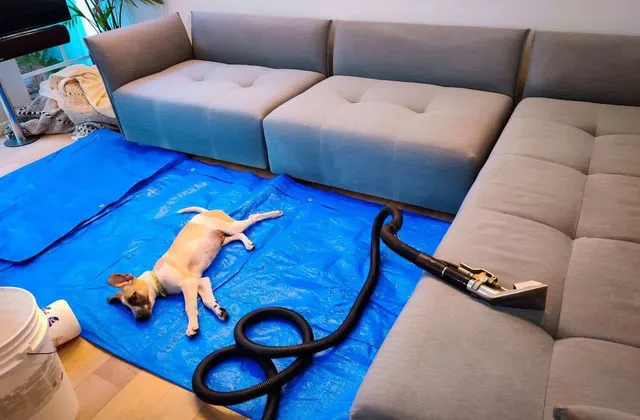 A large sectional sofa being cleaned at the customer's home, protective sheet on the floor