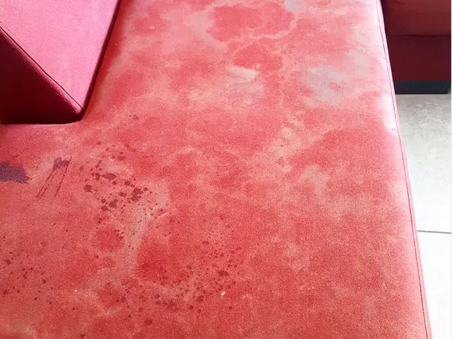 Washable-fabric sofa - before cleaning