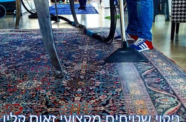 Professional steam cleaning of a Persian rug