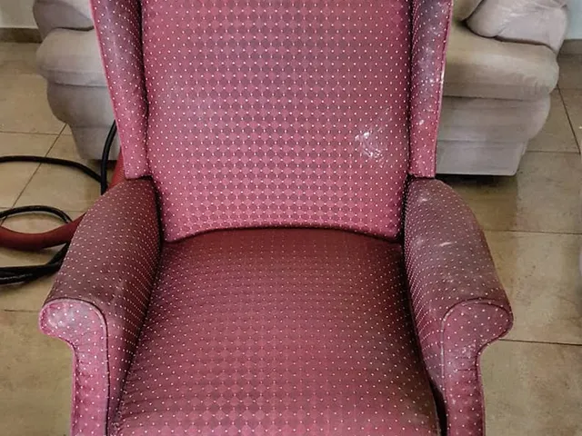 Armchair - before cleaning