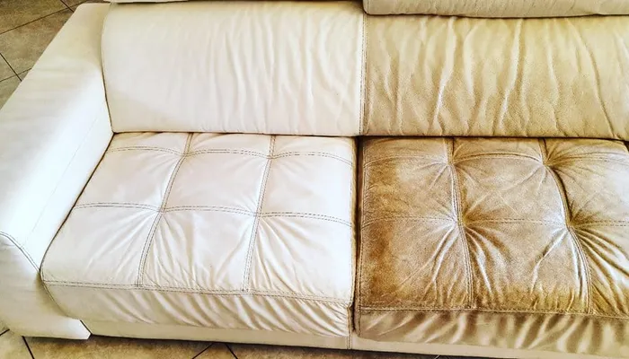 Passover Leather Sofa Cleaning