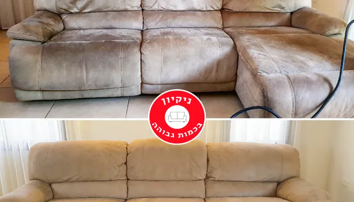 How to Remove Pet Hair from Sofas and Carpets