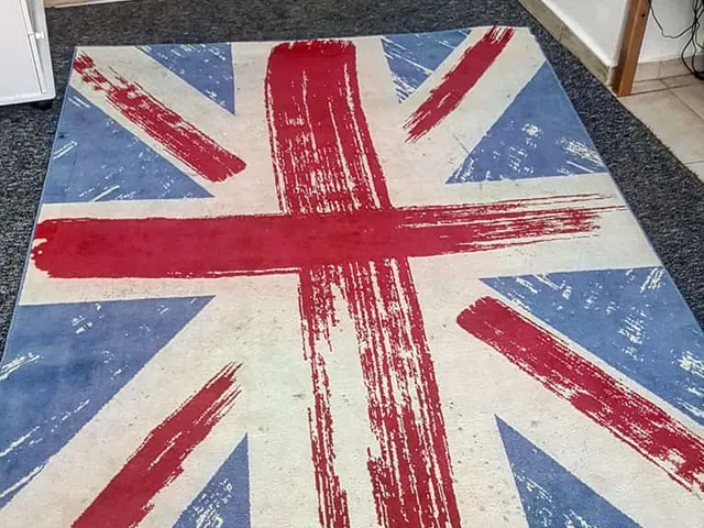 Carpet - before cleaning